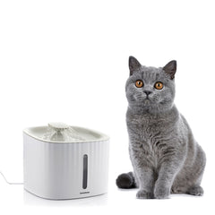 Innovagoods Drinkatt Fuente USB para Mascotas - Capacidad 3L - Silenciosa - Filtros Reutilizables - 3 Modos de Flujo - Indicador Nivel - Facil Limpieza - 19x15x19cm - Color Blanco y Gris