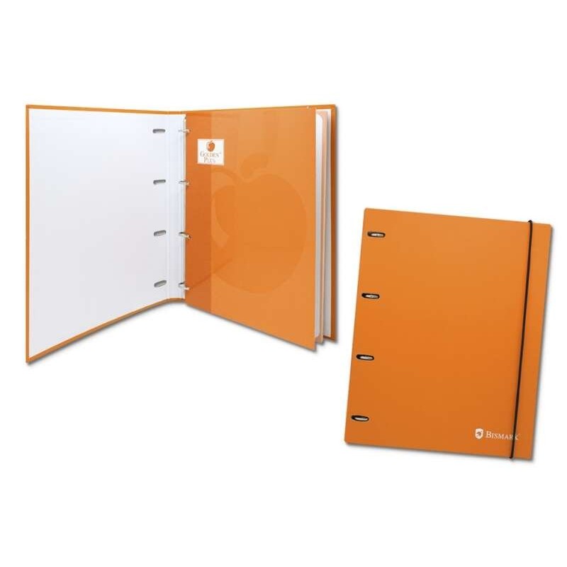 Fichário Bismark 4 com 80 folhas grade 4x4 - formato A4 - feito de papelão - cor laranja