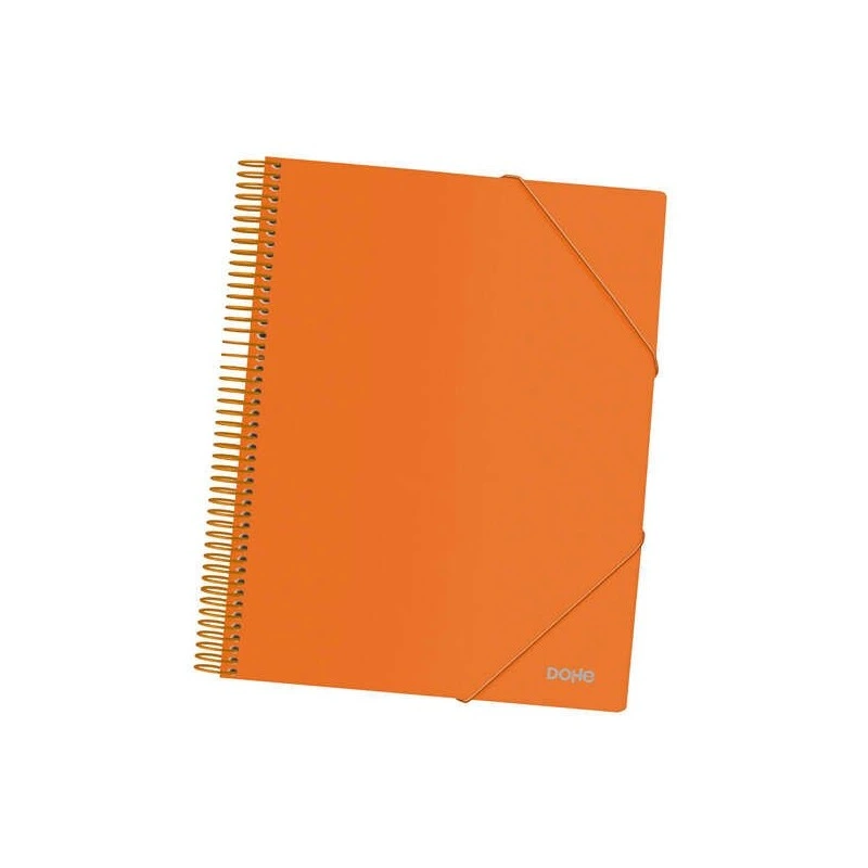 Pasta Dohe com 40 capas tamanho A4 - Capa de polipropileno opaco de 800 mícrons - Capas transparentes de 80 mícrons - Espiral