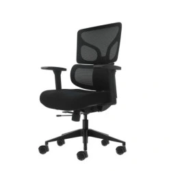 Oqonos Cherg 012 Cadeira de Escritório Ergonómica com Encosto e Assento em Malha Elástica, Apoios de Braços 4D, Assento