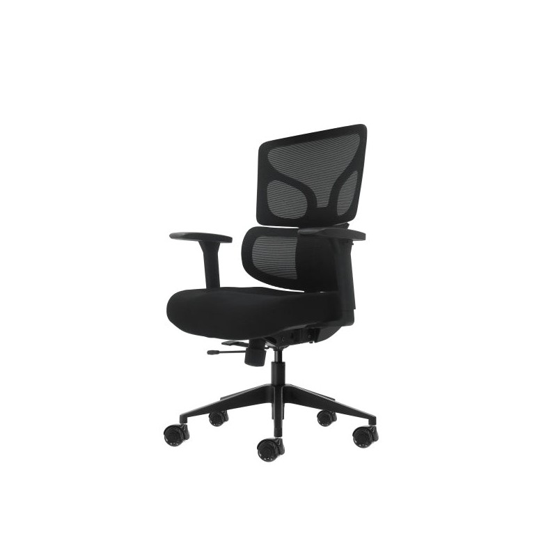Oqonos Cherg 012 Chaise de Bureau Ergonomique avec Dossier et Assise en Maille Élastique, Accoudoirs 4D, Assise Coulissante