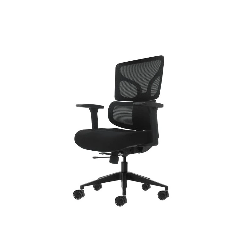 Oqonos Cherg 012 Chaise de Bureau Ergonomique avec Dossier et Assise en Maille Élastique, Accoudoirs 4D, Assise Coulissante