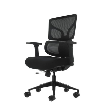 Oqonos Cherg 012 Cadeira de Escritório Ergonómica com Encosto e Assento em Malha Elástica, Apoios de Braços 4D, Assento