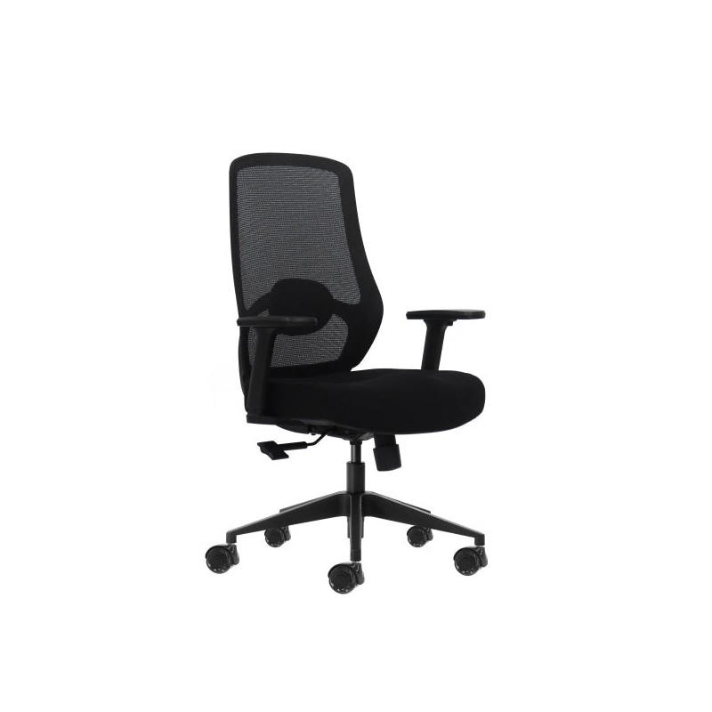 Oqonos Cherg 024 Chaise de Bureau Ergonomique avec Support Lombaire Réglable en Hauteur et Profondeur, Accoudoirs 4D, Piston à