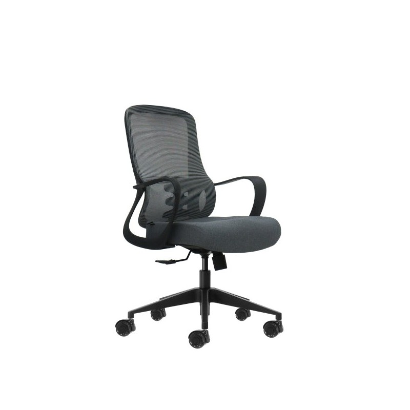 Oqonos Cherg 007 Ergonomic Office Chair with Breathable Mesh Back, Class 4 Gas Piston, Lumbar Support, Fixed Armrests, Moulded