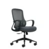 Oqonos Cherg 007 Ergonomic Office Chair with Breathable Mesh Back, Class 4 Gas Piston, Lumbar Support, Fixed Armrests, Moulded