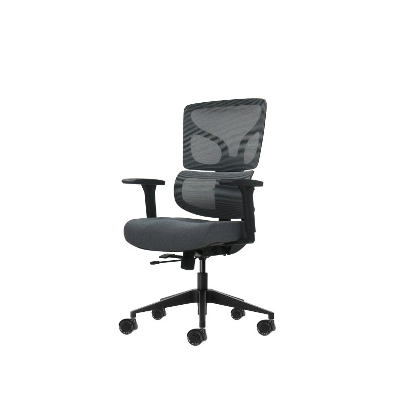 Oqonos Cherg 013 Chaise de Bureau Ergonomique avec Dossier et Assise en Maille Élastique, Accoudoirs 4D, Assise Coulissante