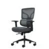 Oqonos Cherg 013 Chaise de Bureau Ergonomique avec Dossier et Assise en Maille Élastique, Accoudoirs 4D, Assise Coulissante