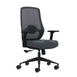Oqonos Cherg 025 Cadeira de Escritório Ergonómica com Suporte Lumbar Ajustável em Altura e Profundidad, Apoios de Braços 4D, Pis