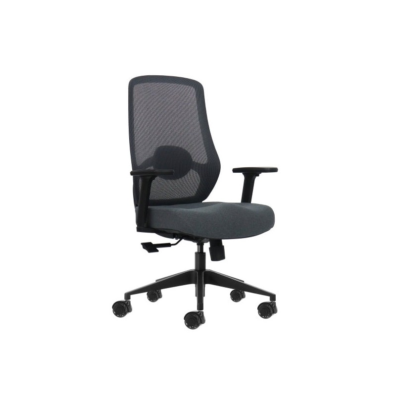 Oqonos Cherg 025 Chaise de Bureau Ergonomique avec Support Lombaire Réglable en Hauteur et Profondeur, Accoudoirs 4D, Vérin à
