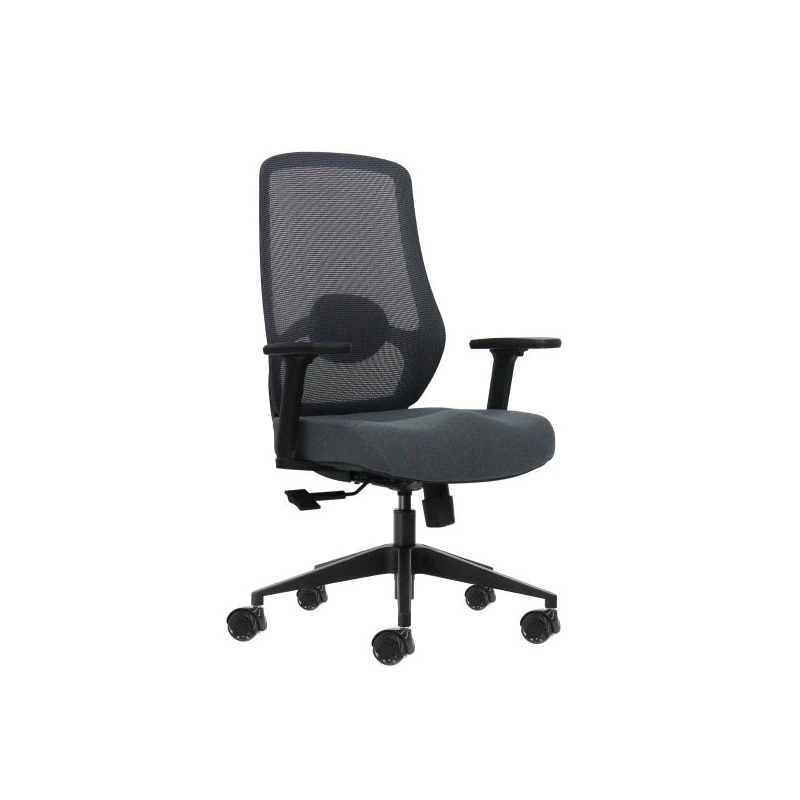 Oqonos Cherg 025 Chaise de Bureau Ergonomique avec Support Lombaire Réglable en Hauteur et Profondeur, Accoudoirs 4D, Vérin à