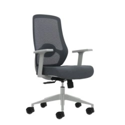 Oqonos Cherg 003 Silla de Oficina Ergonomica con Soporte Lumbar Ajustable en Altura y Profundidad, Respaldo de Malla