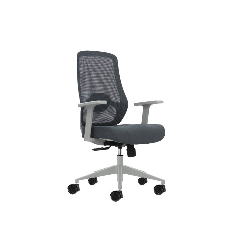 Oqonos Cherg 003 Silla de Oficina Ergonomica con Soporte Lumbar Ajustable en Altura y Profundidad, Respaldo de Malla