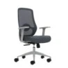 Oqonos Cherg 003 Cadeira de Escritório Ergonómica com Apoio Lombar Ajustável em Altura e Profundidade, Encosto em Malha
