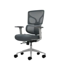 Oqonos Cherg 015 Ergonomic Office Chair with Elastic Mesh Backrest and Seat, 4D Armrests, Sliding Moulded Ergonomic Seat and