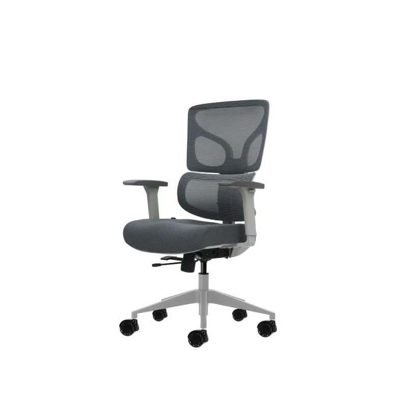 Oqonos Cherg 015 Chaise de Bureau Ergonomique avec Dossier et Assise en Maille Élastique, Accoudoirs 4D, Assise Coulissante