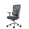 Oqonos Cherg 015 Chaise de Bureau Ergonomique avec Dossier et Assise en Maille Élastique, Accoudoirs 4D, Assise Coulissante