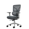 Oqonos Cherg 015 Ergonomic Office Chair with Elastic Mesh Backrest and Seat, 4D Armrests, Sliding Moulded Ergonomic Seat and