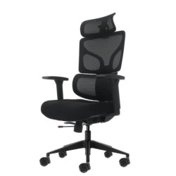 Oqonos Cherg 010 Ergonomic Office Chair with Adjustable Neck Headrest, Elastic Mesh Backrest and Seat, 4D Armrests, Sliding
