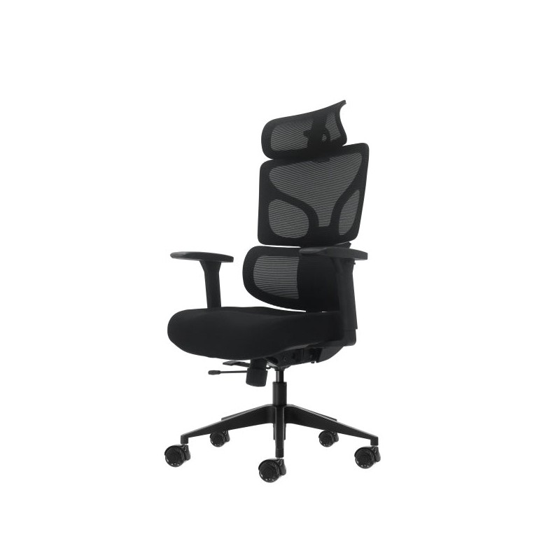 Oqonos Cherg 010 Chaise de Bureau Ergonomique avec Appui-tête Cervical Réglable, Dossier et Assise en Maille Élastique