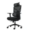 Oqonos Cherg 010 Chaise de Bureau Ergonomique avec Appui-tête Cervical Réglable, Dossier et Assise en Maille Élastique