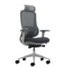 Oqonos Cherg 022 Chaise de Bureau Ergonomique avec Appui-tête Cervical Réglable, Mécanisme Autoéquilibré, Accoudoirs 4D, Assise