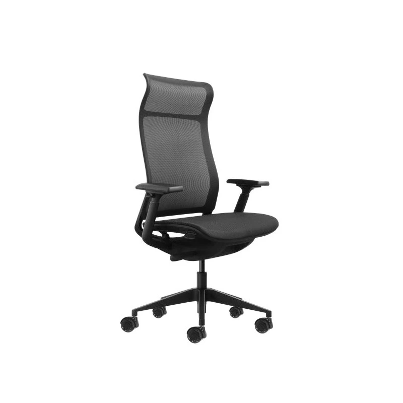 Oqonos Cherg 028 Silla de Oficina Ergonomica con Respaldo y Asiento de Malla Elastica, Mecanismo Autobalanceado, Reposabrazos