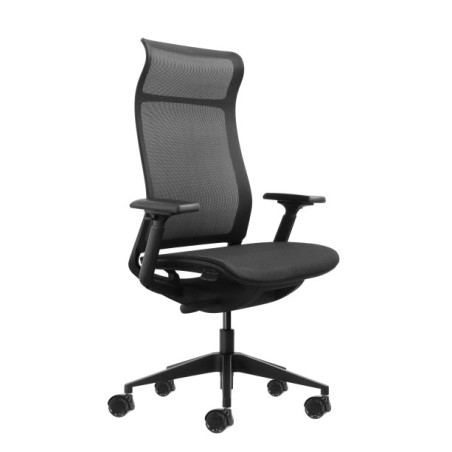 Oqonos Cherg 028 Cadeira de Escritório Ergonómica com Encosto e Assento em Malha Elástica, Mecanismo Autobalanceado, Apoios de