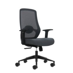 Oqonos Cherg 002 Ergonomic Office Chair with Height and Depth Adjustable Lumbar Support, Breathable Mesh Backrest, Fixed