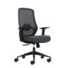 Oqonos Cherg 002 Silla de Oficina Ergonomica con Soporte Lumbar Ajustable en Altura y Profundidad, Respaldo de Malla