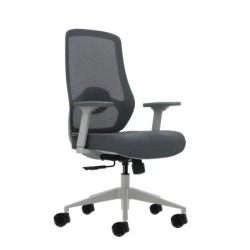 Oqonos Cherg 026 Chaise de Bureau Ergonomique avec Support Lombaire Réglable en Hauteur et Profondeur, Accoudoirs 4D, Vérin à