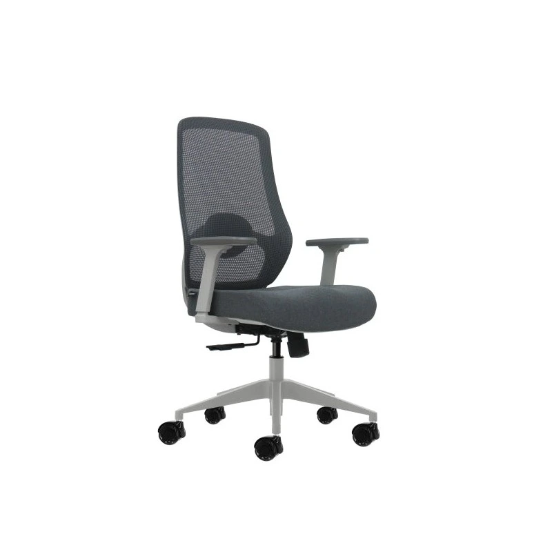 Oqonos Cherg 026 Chaise de Bureau Ergonomique avec Support Lombaire Réglable en Hauteur et Profondeur, Accoudoirs 4D, Vérin à