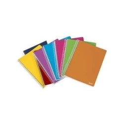 Ancor Classic Stripes Spiral Notebook Folio Size Horizontal Ruled - 80 Sheets 90gsm - Plastic Cover - Assorted Colours