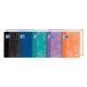 Oxford School Classic Europeanbook 1 Cahier A4+ 80 Feuilles Microperforées Quadrillage 5x5mm - Couverture en Plastique