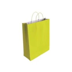 Bismark Sac en Papier Cellulose - Dimensions 40x14x32cm - Couleur Pistache