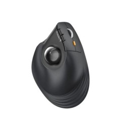 ProtoArc EM05 NL Raton Vertical Trackball Ergonomico Inalambrico - 1600 dpi - Bluetooth + 2.4Ghz - Bateria Recargable