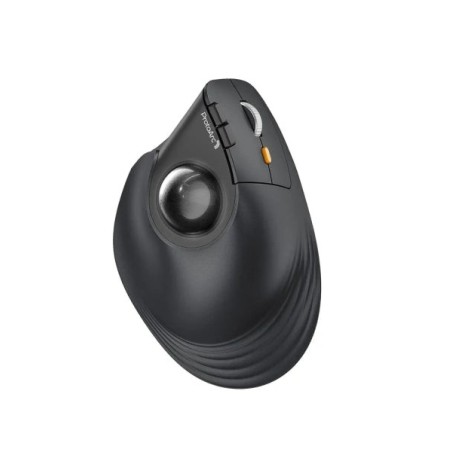 ProtoArc EM05 NL Raton Vertical Trackball Ergonomico Inalambrico - 1600 dpi - Bluetooth + 2.4Ghz - Bateria Recargable