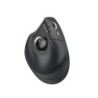 ProtoArc EM05 NL Raton Vertical Trackball Ergonomico Inalambrico - 1600 dpi - Bluetooth + 2.4Ghz - Bateria Recargable