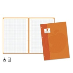 Golden Extra Refill of 80 Sheets 90gsm 4x4 Squared - A4 Format - 4 Holes and Orange Colour Band