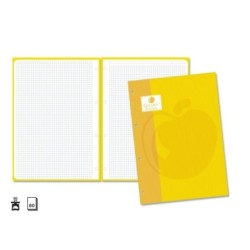 Golden Extra Recarga de 80 Folhas 90gr Quadrícula 4x4 - Formato A4 - 4 Furos e Banda de Cor Amarela
