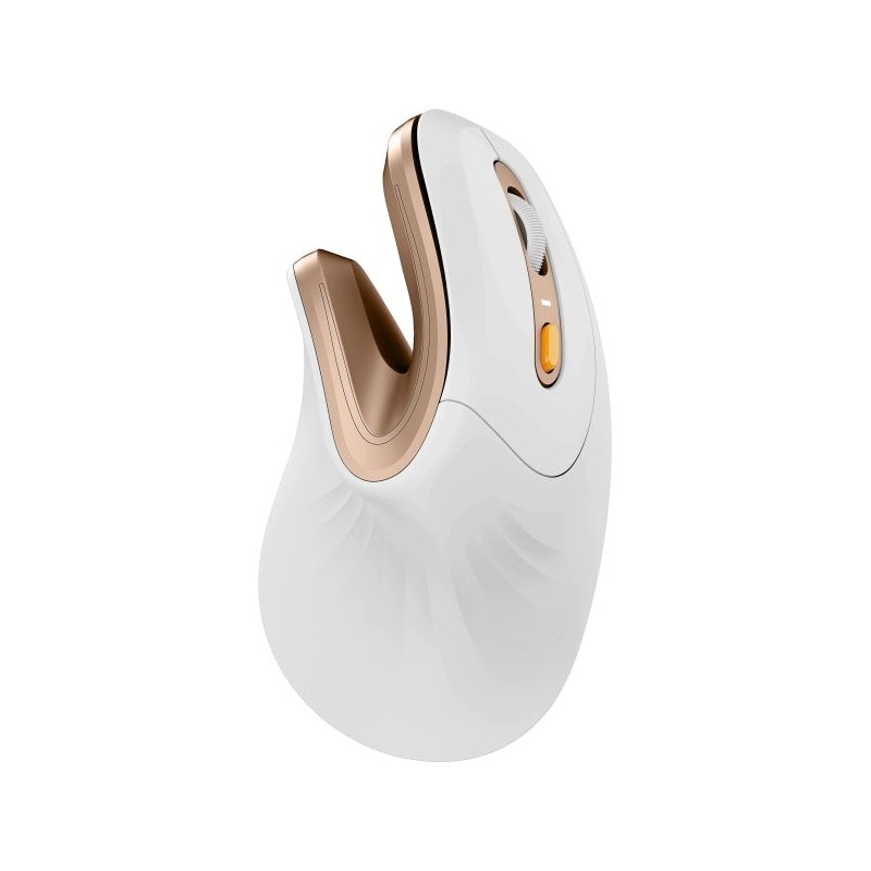ProtoArc EM11 NL Raton Vertical Ergonomico Inalambrico - 2400 dpi - Bluetooth + 2.4Ghz - Bateria Recargable - Multidispositivo