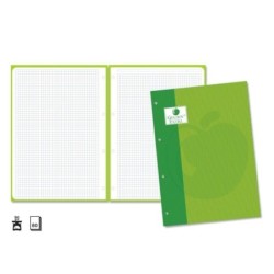 Golden Extra Recarga de 80 Folhas 90gr Quadrícula 4x4 - Formato A4 - 4 Furos e Banda de Cor Verde
