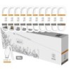 TechOneTech Basik Pack of 10 Cables USB-A Male - USB-C Male - 1m Length