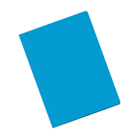 Dohe Sous-chemises Fabriquées en Carton de 180g - avec Fente pour Fastener - Idéales pour Organiser les Documents - Résistantes