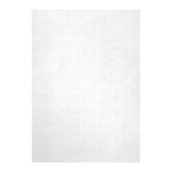 Apli Pack de 100 Hojas de Papel Verjurado A4 - Alta Calidad - 100gr - Compatible con Impresoras Inkjet, Laser y Fotocopiadoras