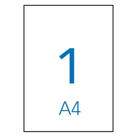 Apli Pack of 10 Weather Resistant Labels 210x297mm - Made of Polyester - Straight Edges - Permanent Adhesive - Color White