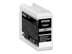 Epson T46S7 Gray Original Ink Cartridge - C13T46S700