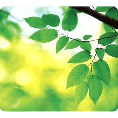 Fellowes Earth Series Alfombrilla Reciclada para Raton - Duradera y Facil de Limpiar - Base de Goma - 85% Material Reciclado - DiseÃ±o Hojas