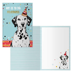 Dohe Pack de 6 Tarjetas de Felicitacion de CumpleaÃ±os - 11.5x17cm - Impresion a Todo Color - Estampaciones con Pelicula de Color - Estampacion en Seco - Papel Offset Blanco de 300gr - Incluye Sobre de Color