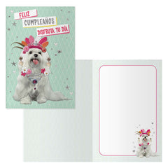 Dohe Pack de 6 Tarjetas de Felicitacion de CumpleaÃ±os - 11.5x17cm - Impresion a Todo Color - Estampaciones con Pelicula de Color - Papel Offset Blanco de 300gr - Incluye Sobre de Color
